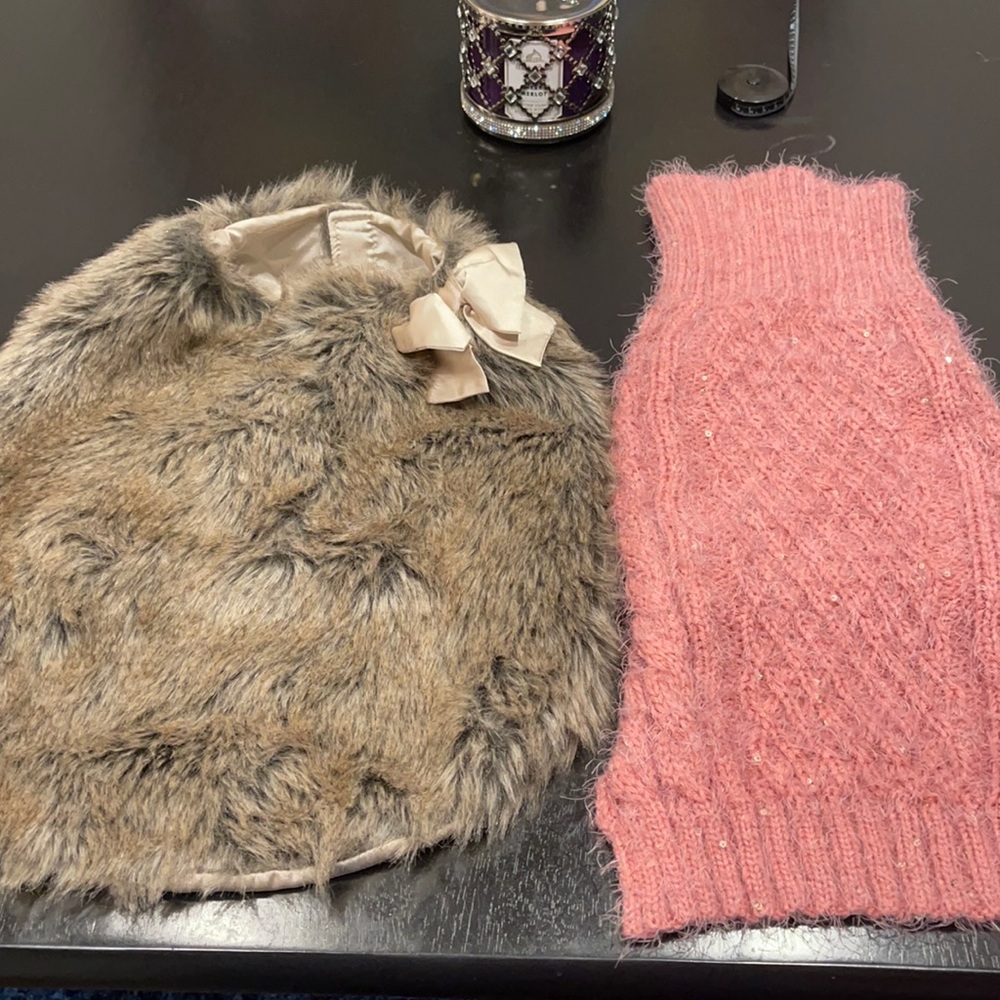dog apparel